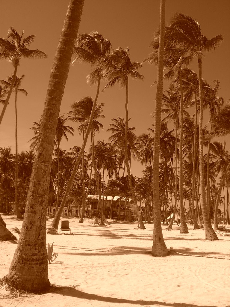 Plage IFA Bavaro by gwen1975