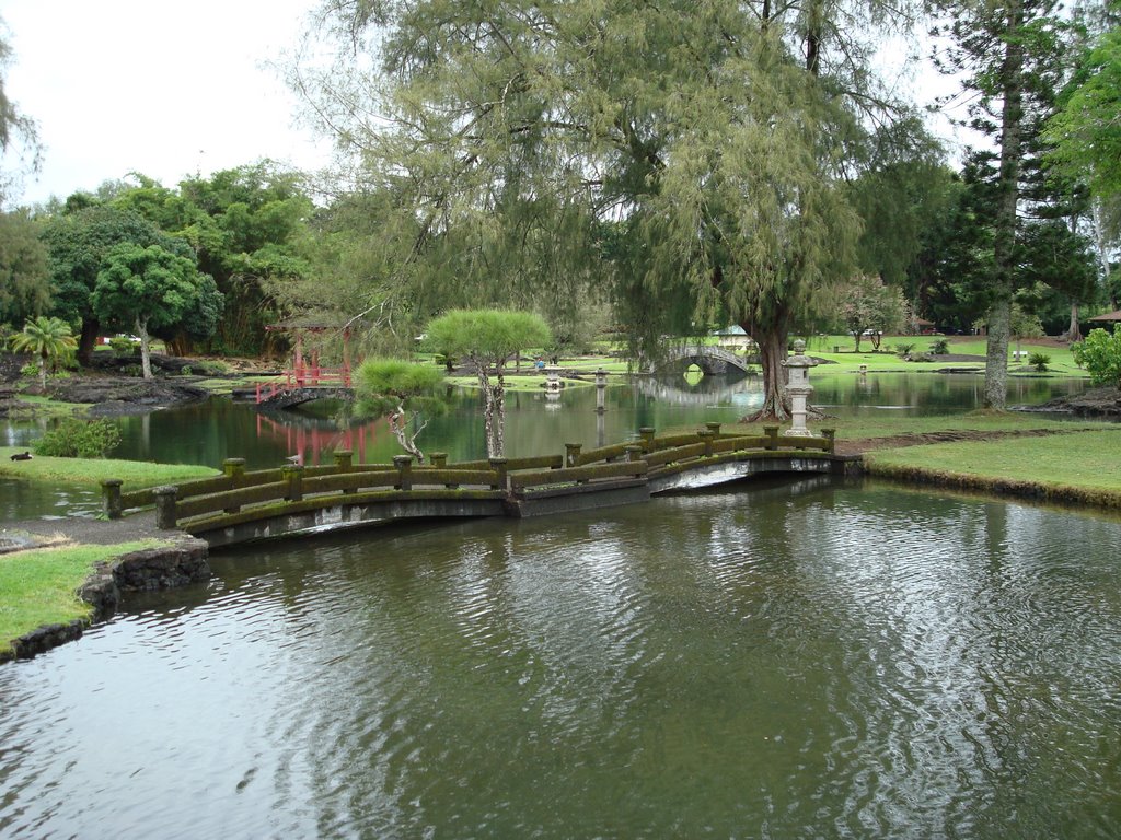 Japanese garden @ Hilo by svache