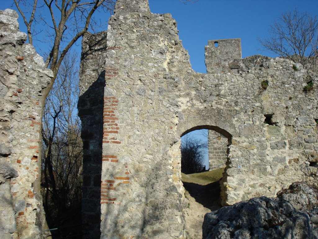 Burgruine Niederhaus (Bayern) by Läser Andreas