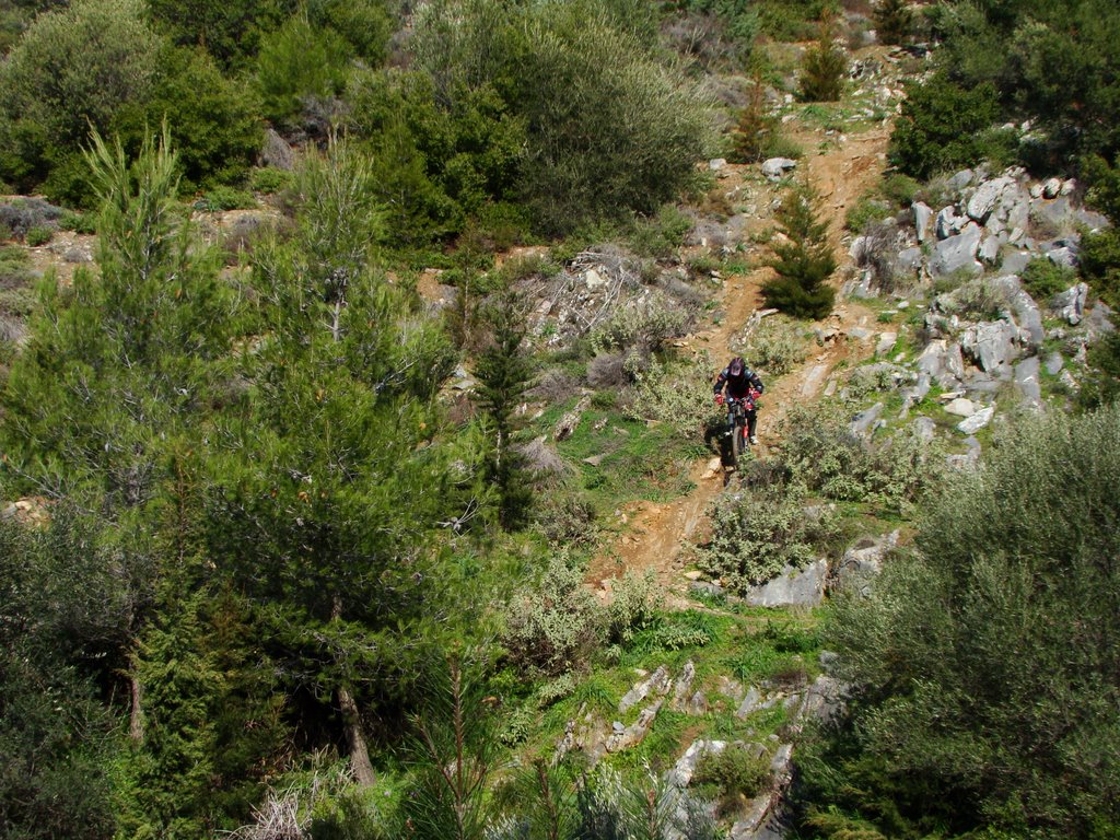 Bold...bicyclist ! by Ioannis Pantazis