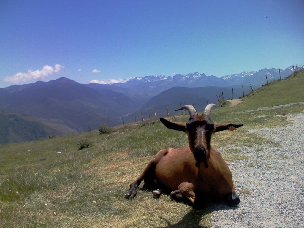 Col d'aspin by wezzen