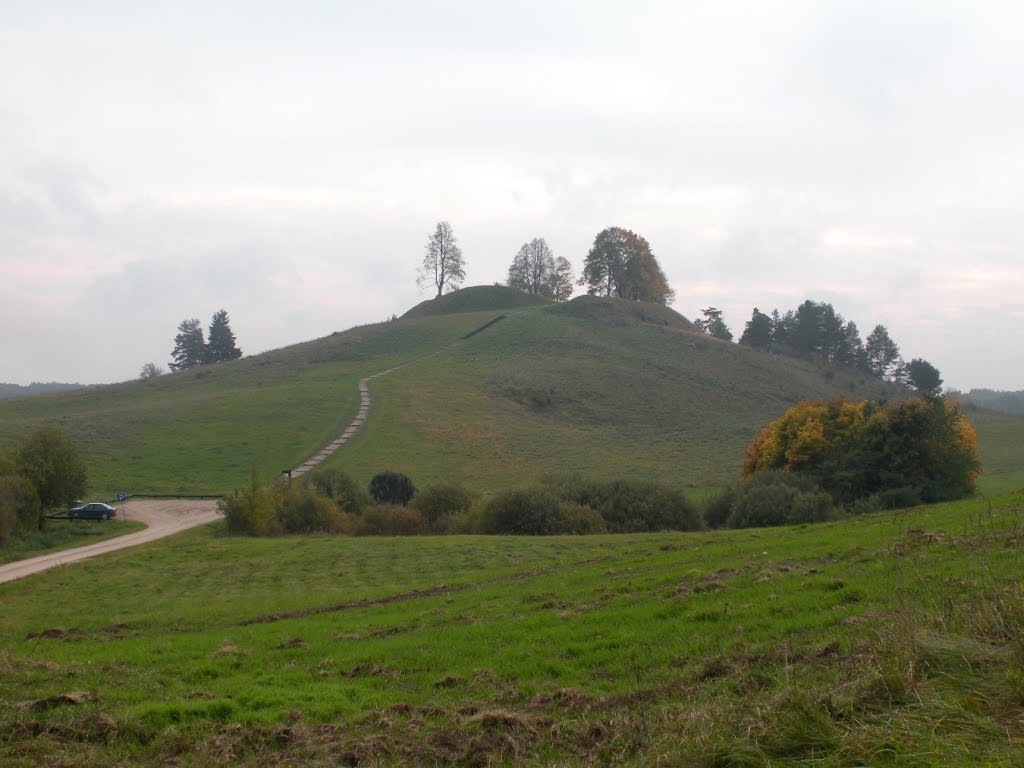 Rudaminos piliakalnis (Rudamina mound) by MrEko