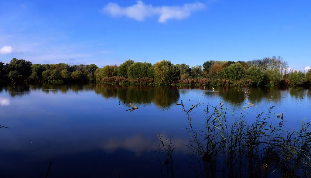 Marais de Cambrin by Flore62