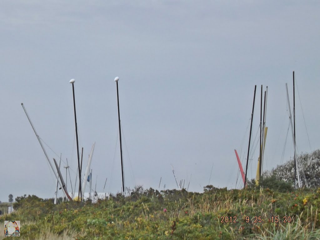 Hier geht´s zu den Strandseglern....... by co-koe