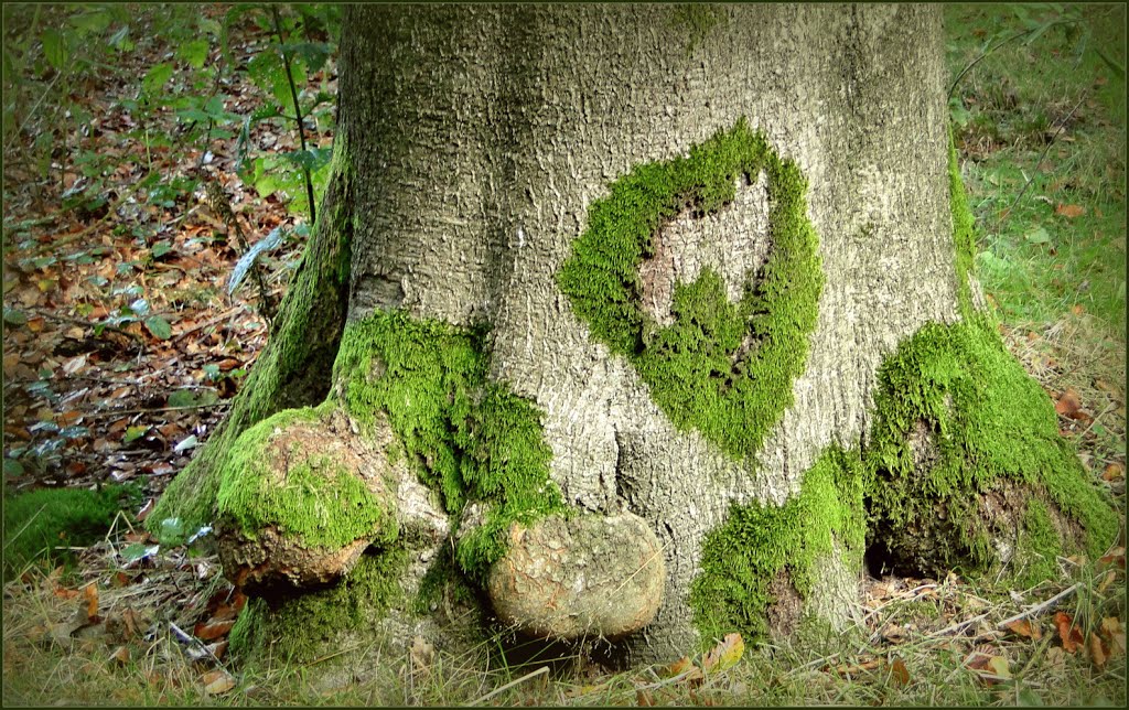 Moss Love... by Chris10 ©