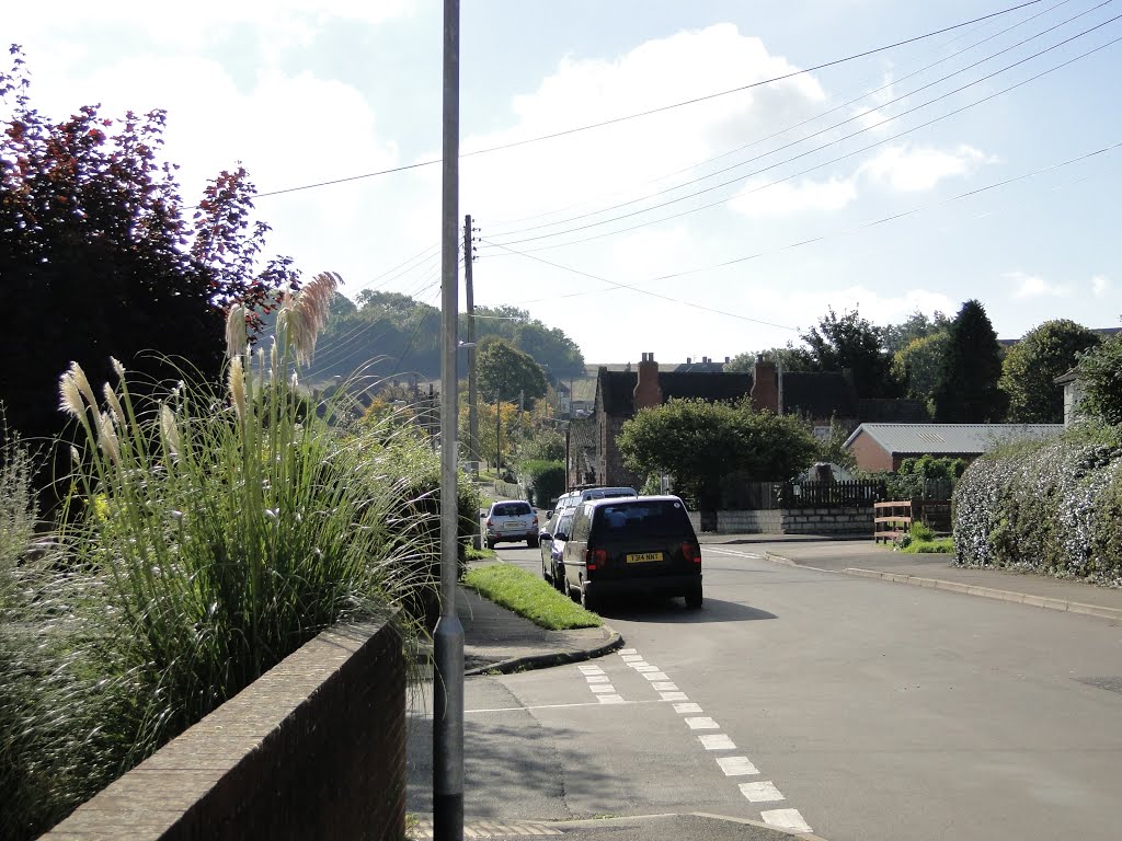 South Road, Watchet. by Dave Sorrell