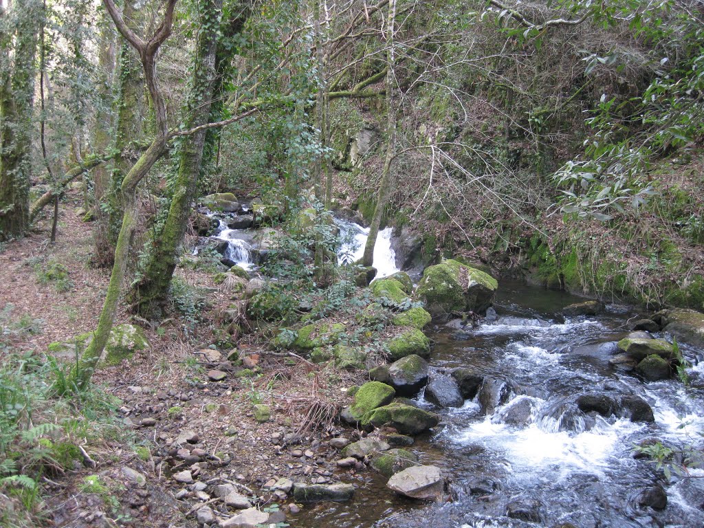 Ribeira da Azenha by J.C.Nunes