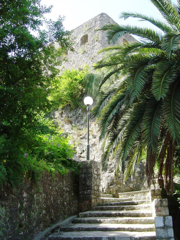 Herceg Novi castle by Luca Giangolini