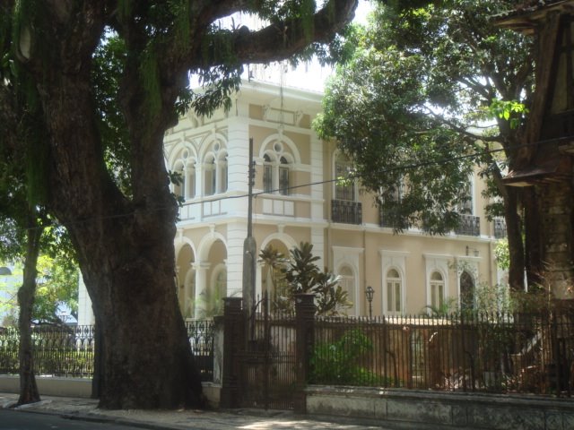 Casa do Vitória, leão e mangueira. by Marcelo S F