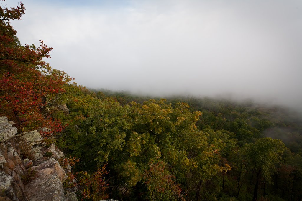 Foggy View from White Rock by Matt Peoples