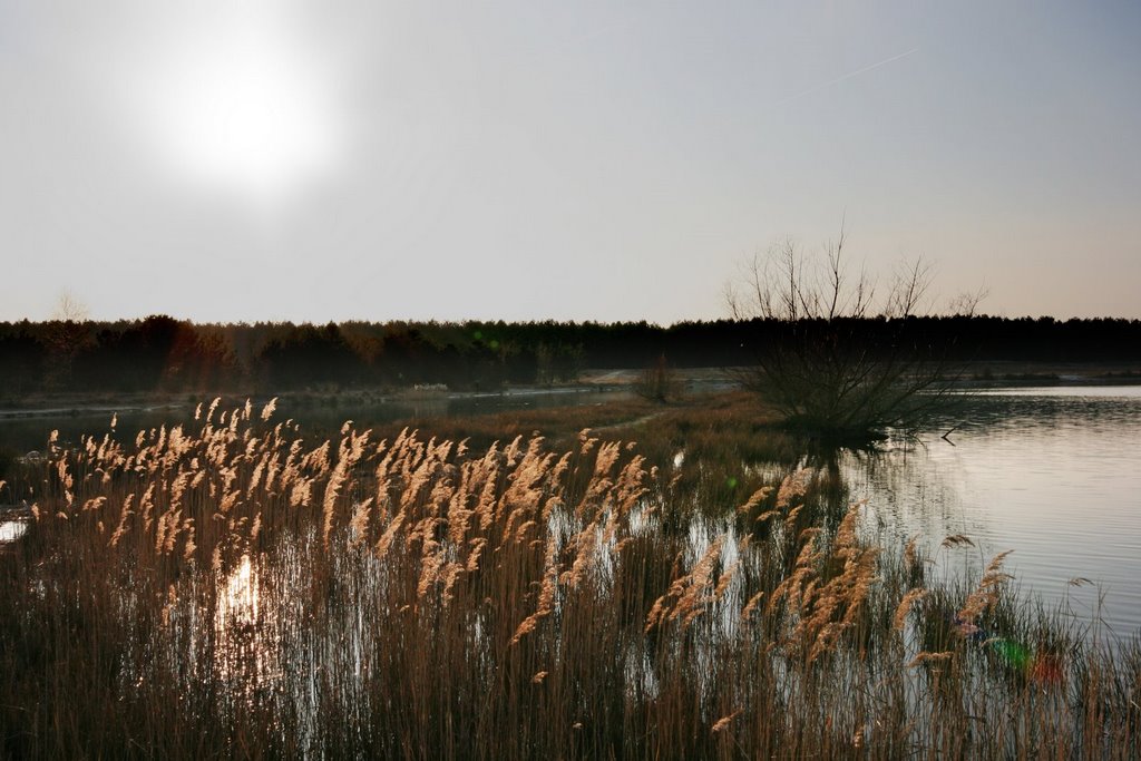 Sahara, Lommel by Wim Janssen