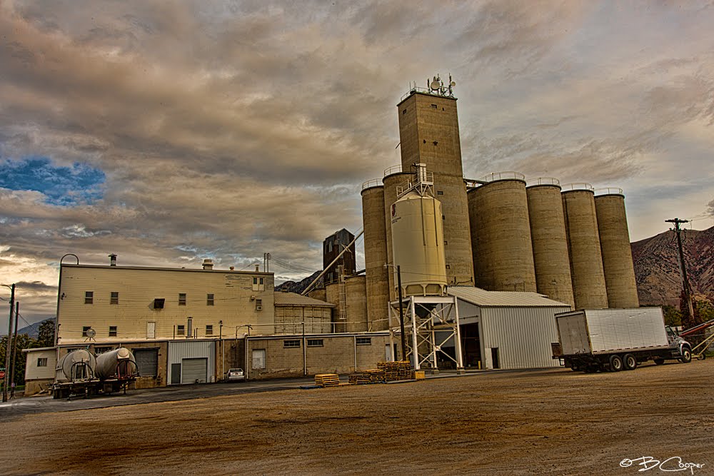 Big J Milling & Elevator by Brenton Cooper