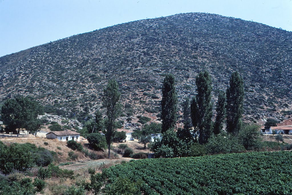 Peloponnese - Greece - 1979 by Ole Holbech