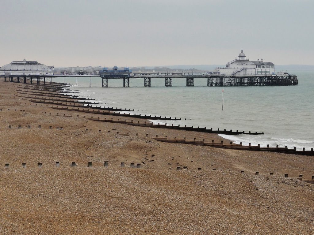 Eastbourne's Coast by CarmelH