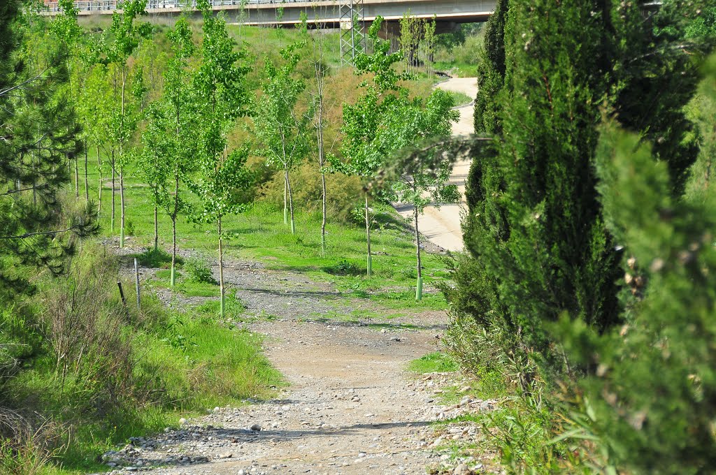 Paseo rio Llobregat (márgen derecha) by Antonio Lorenzo