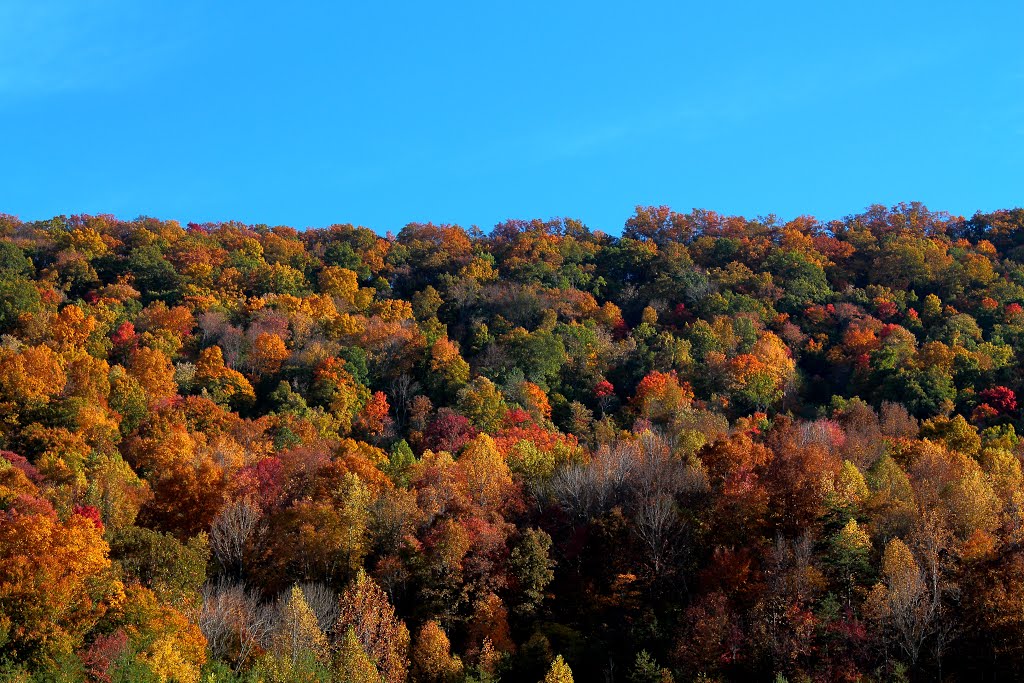 Fall in Kentucky 2012 by Quantummist