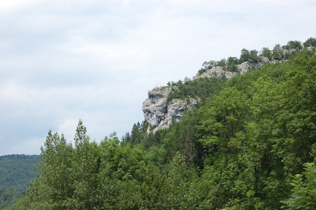 Le Rocher du Singe Goumois CH by lefrise