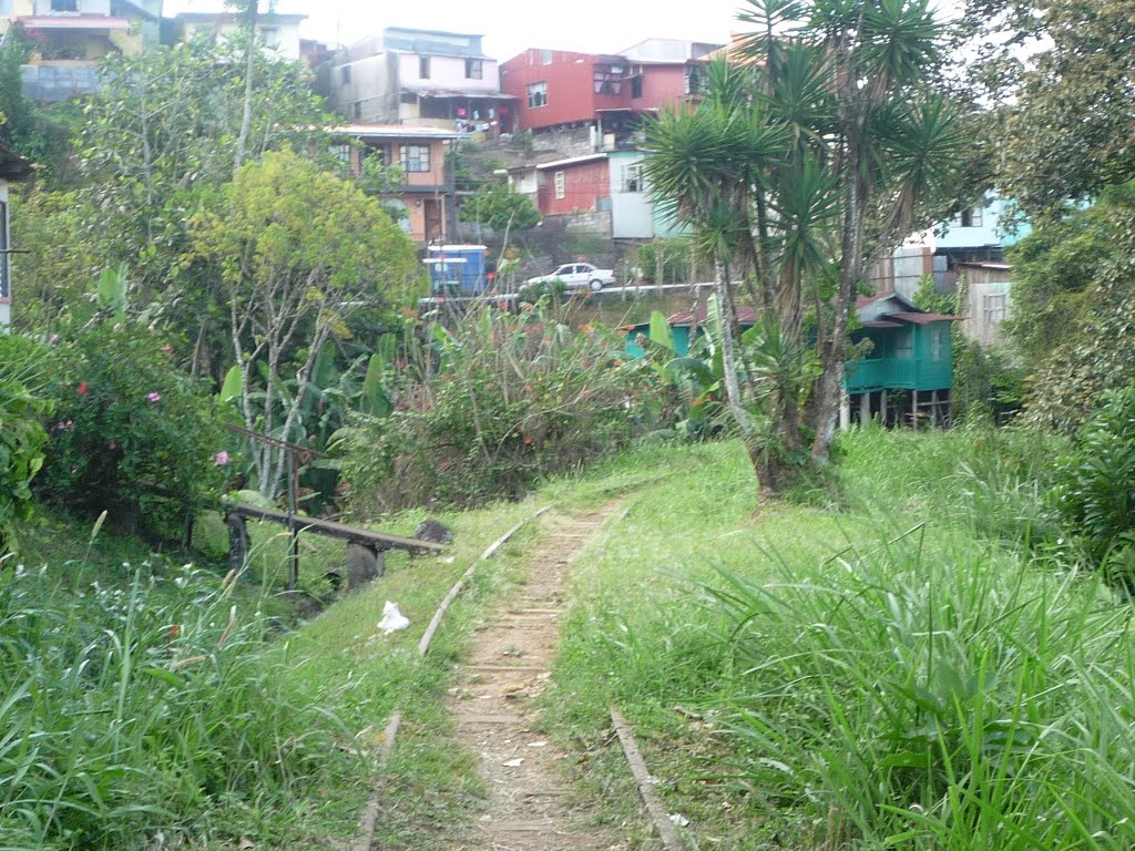 Vía férrea hacía Turrialba by Fiebres por el Tren