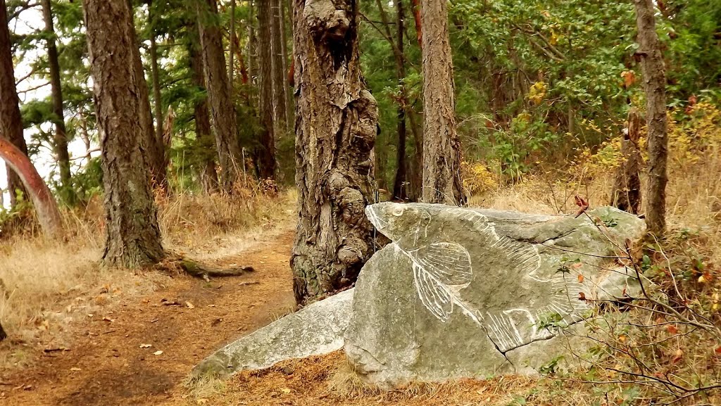 Modern Petroglyph; Jack Point trail... by frtzw906