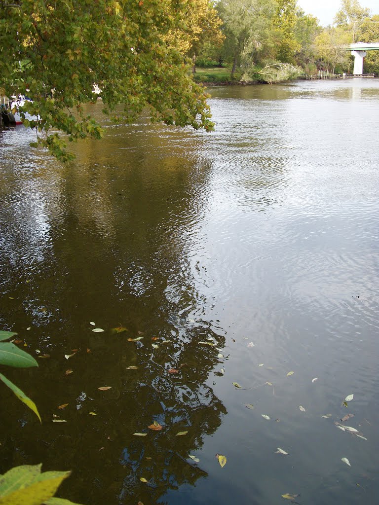 Broad Creek, Bethel, DE by Dave Tabler