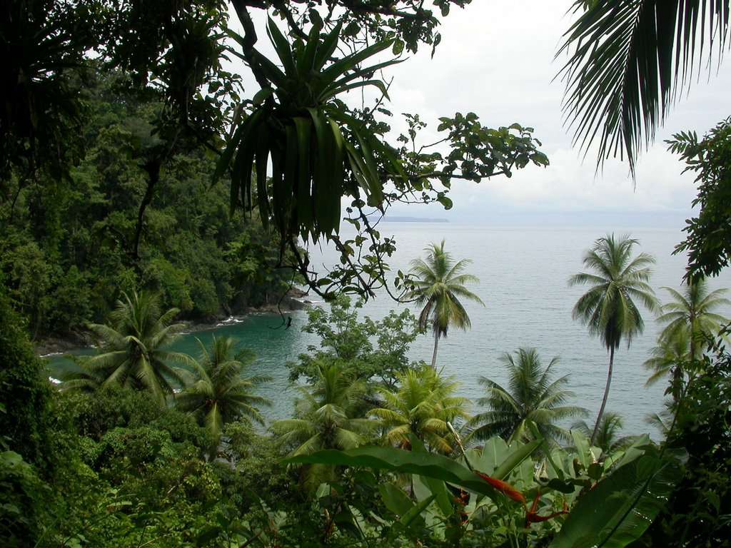 Campanario lodge en Corcovado by Valero