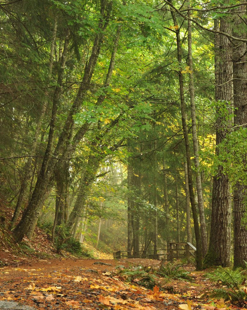 Holland Creek Trail by John W. Berger