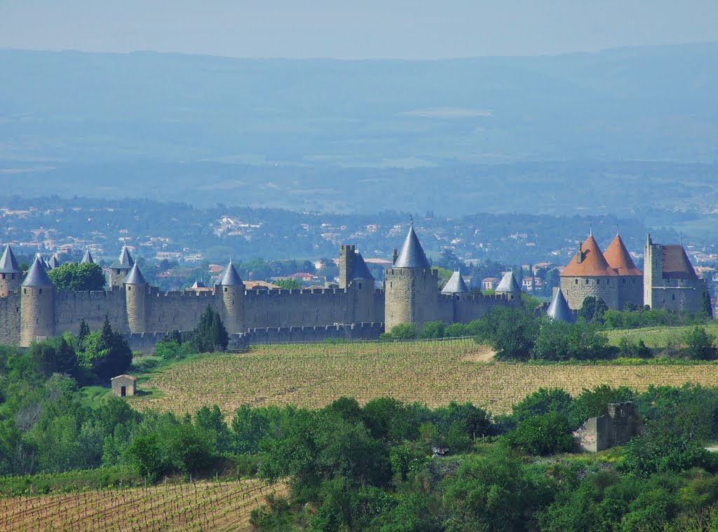 Détail de la cité de Carcassonne by Pierre Durand