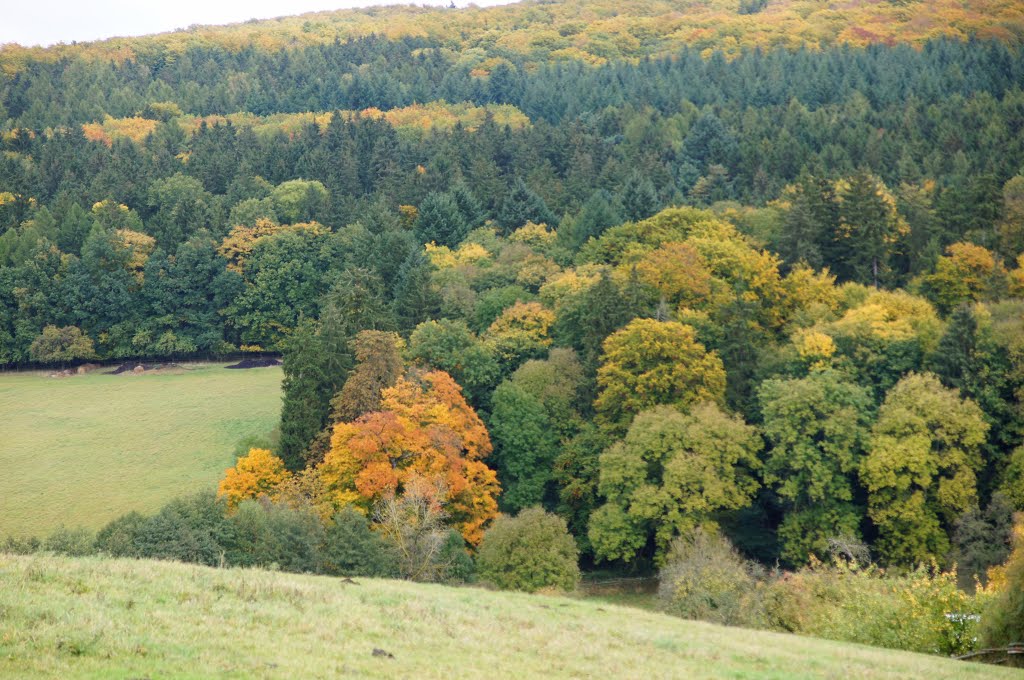 Herbst by Jürgen Düring