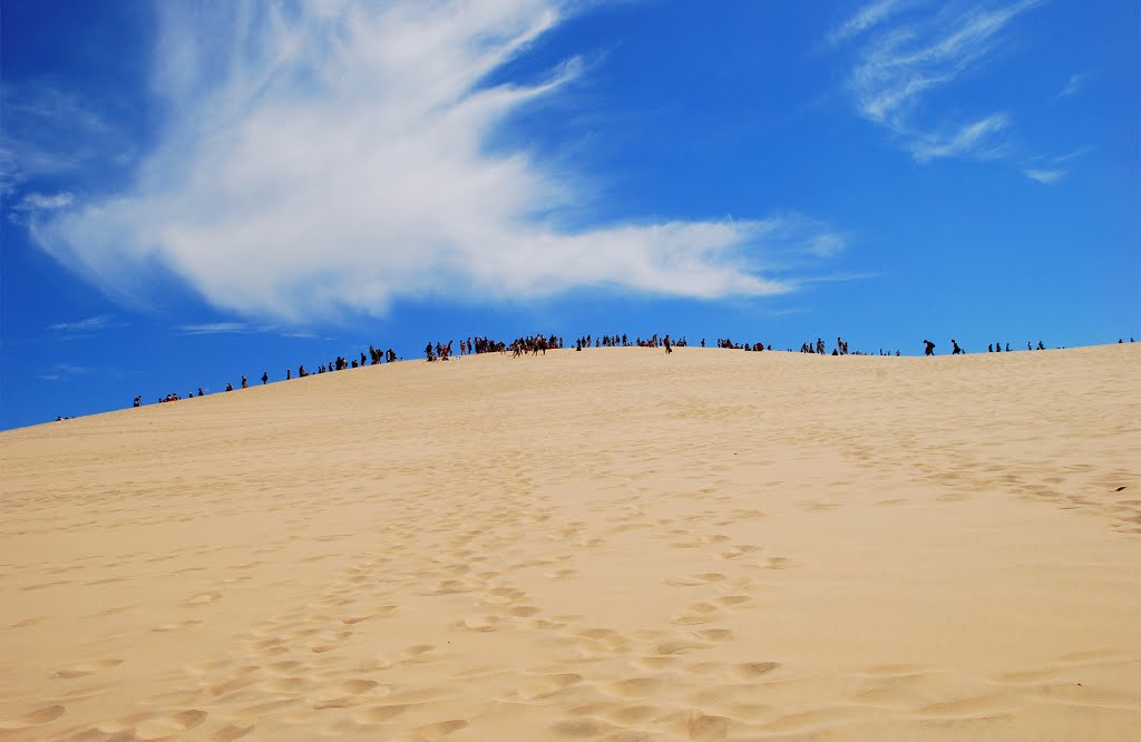 Dune du Pilat - 2 by vise81