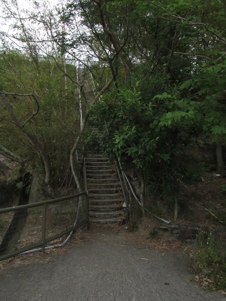 Stairs up to Ho Man Tin High Level Fresh Water Service Reservoir Playground by thinsing