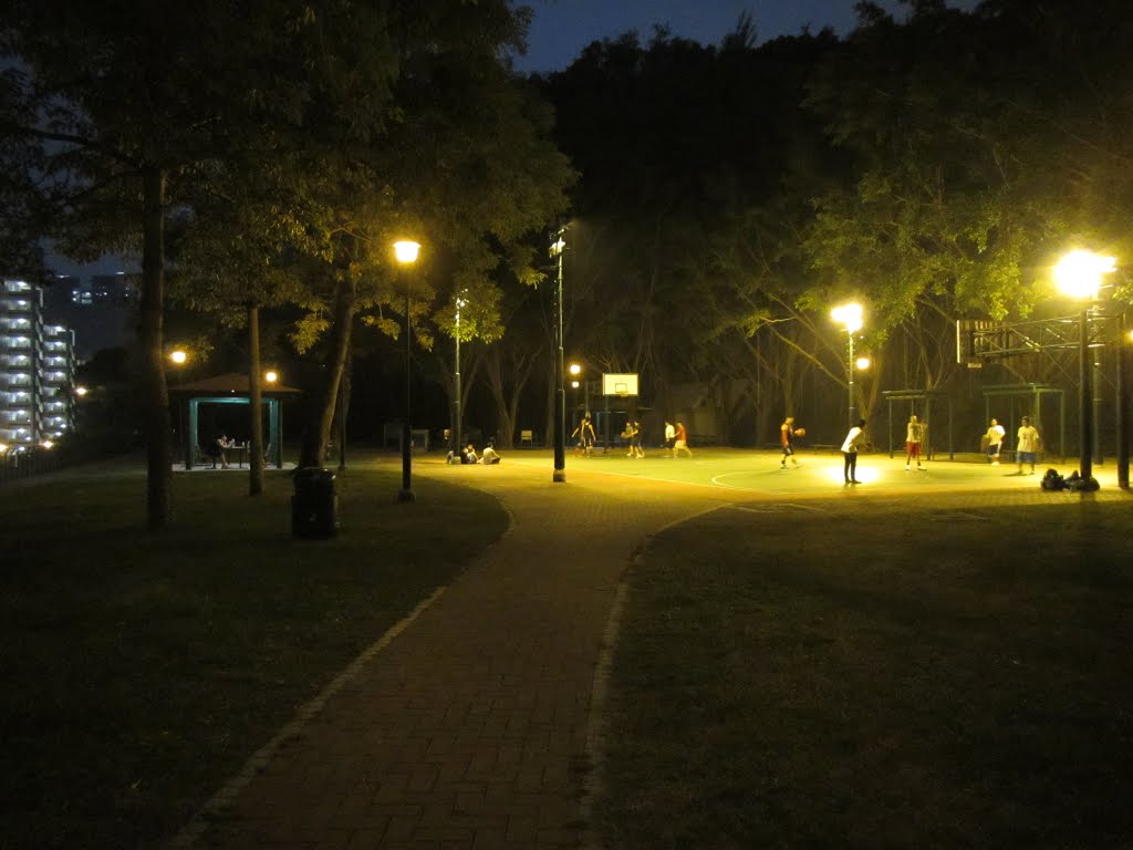 Basketball Court in Kau Pui Lung Road Playground (Night Scene) by thinsing