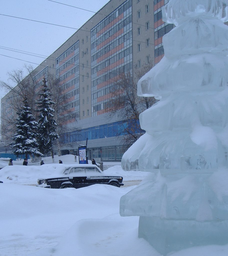 Orenburg Winter by Viacheslav Moisseyev