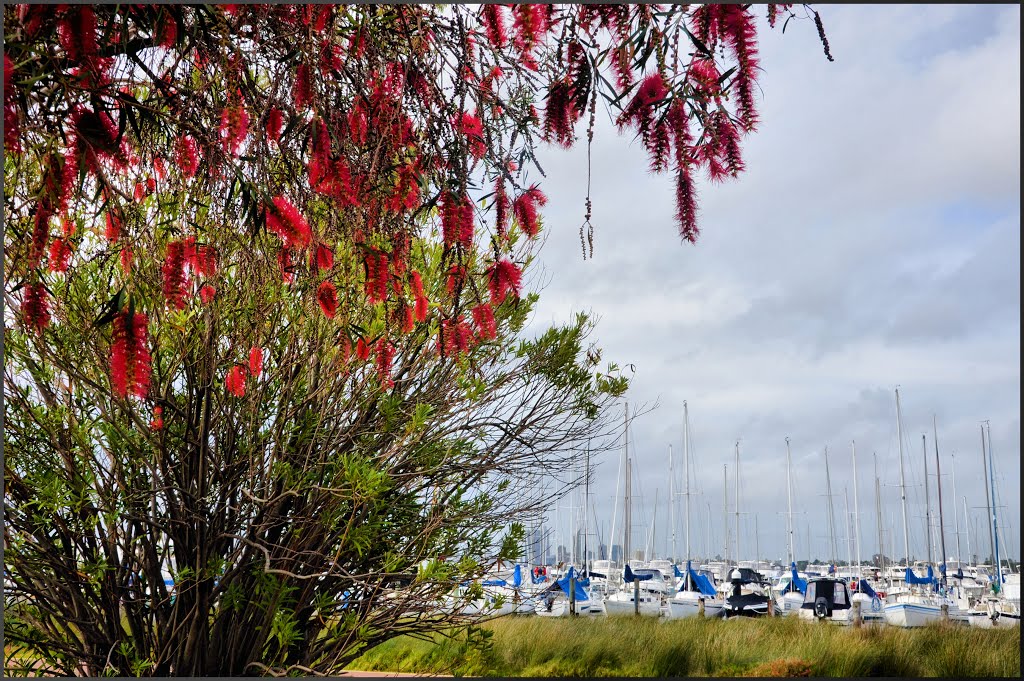 South Perth Yacht Club by cindy555