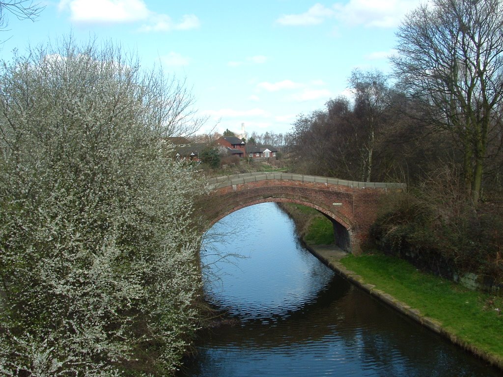 Canal by neil ferguson