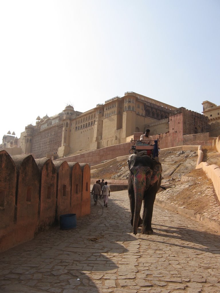 Elephant walking down Amber Fort, Jaipur, India by Bipul Keshri