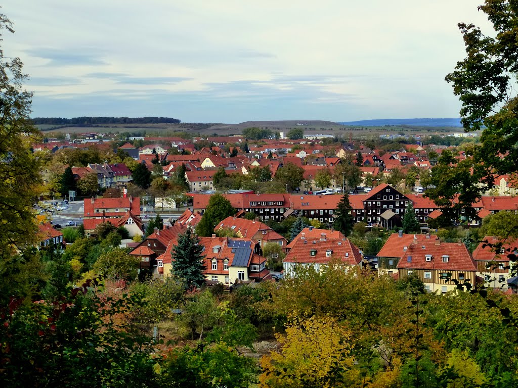 Blick auf Wernigerode by Gerda38