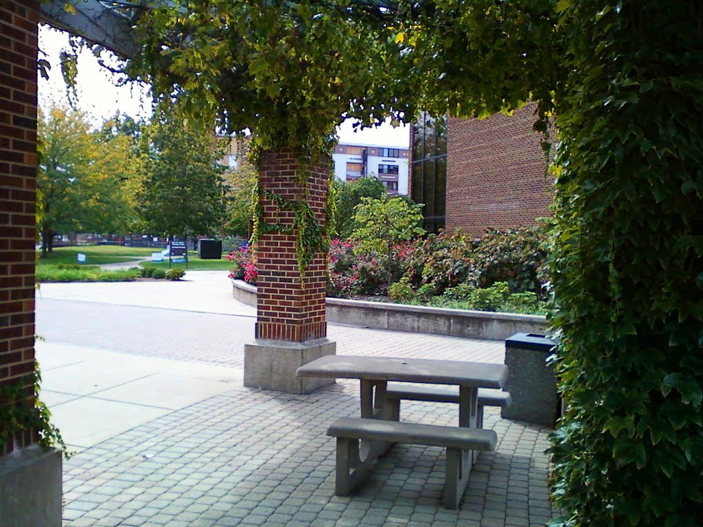 Dede Plaza Arbor at ISU by Ed Allen