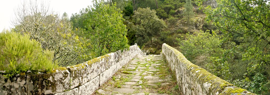 PUENTE ROMANO by Rafael Peñate Navarro