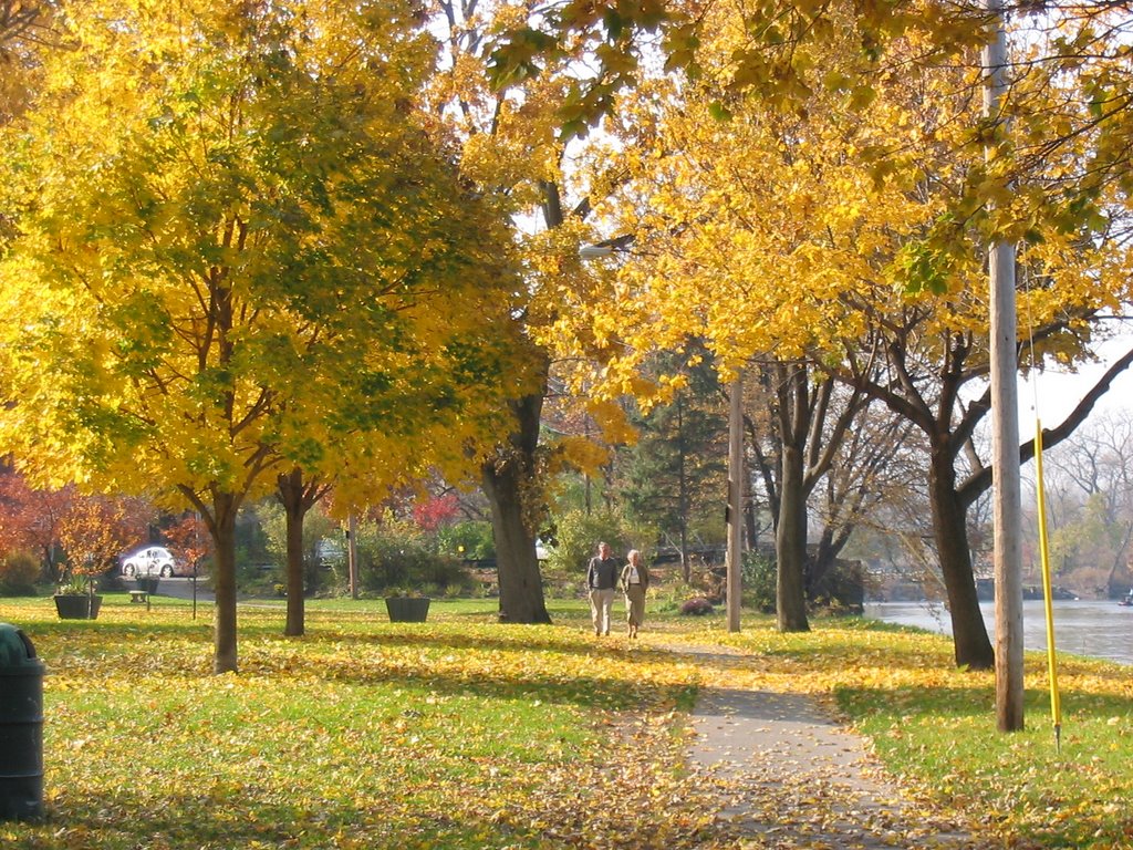 Fall in riverside park by gpmartino