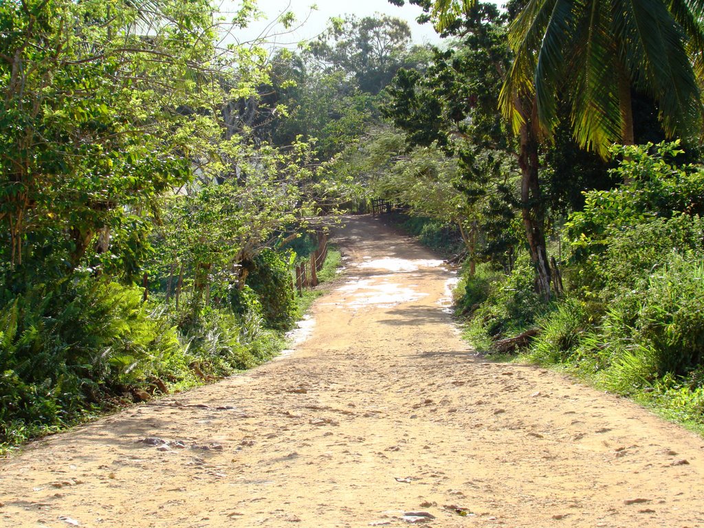 La route de la Playa Rincon by Thierry Beuzeville