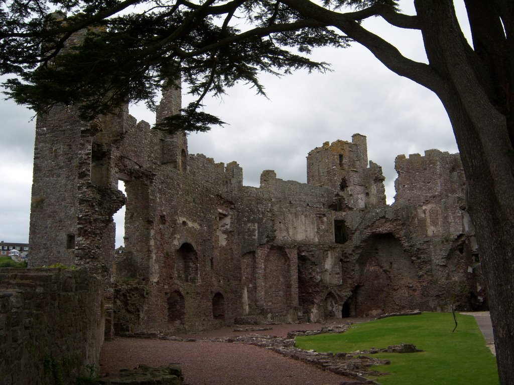 Laugharne Castle by sarahjane