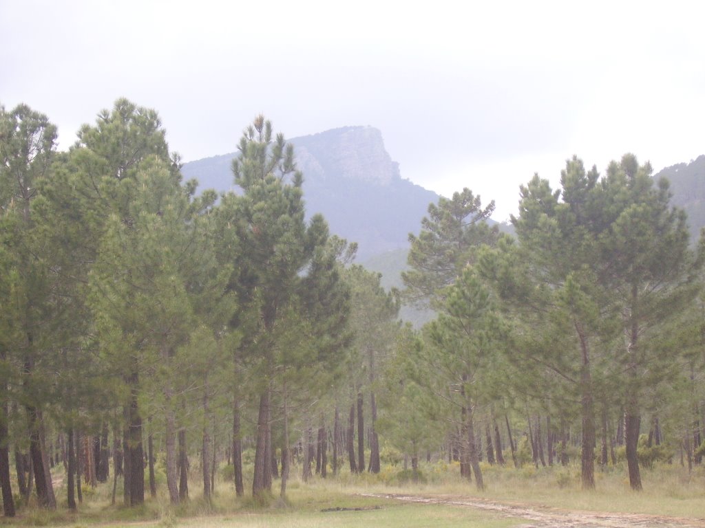 Pico de ranera desde polan by Xapetas y casco