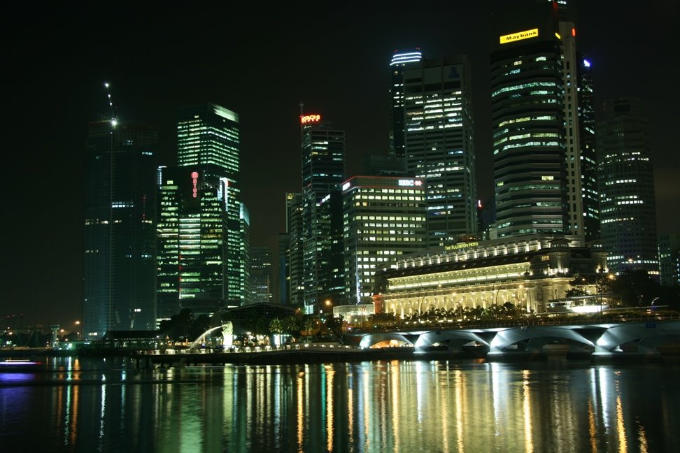 Singapore Skyline at Night by Leandro Pires