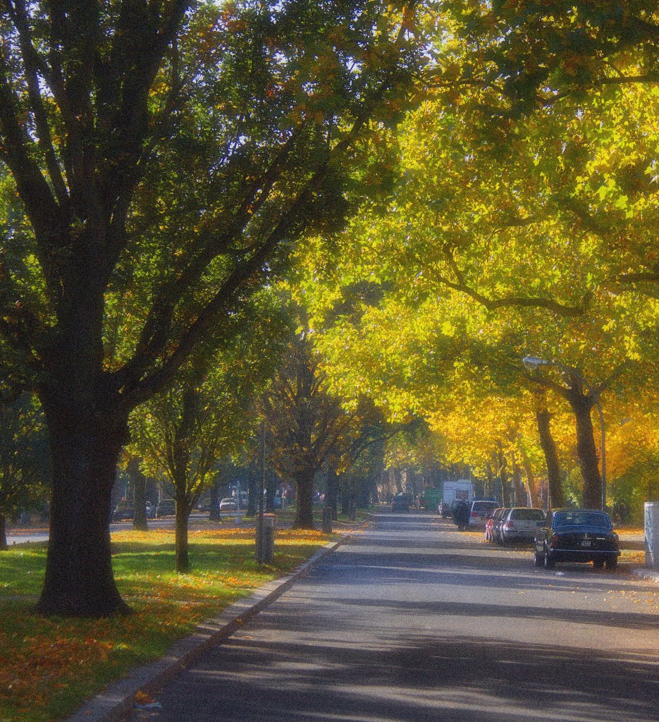 Die Preußenallee im Herbst by Johannes H