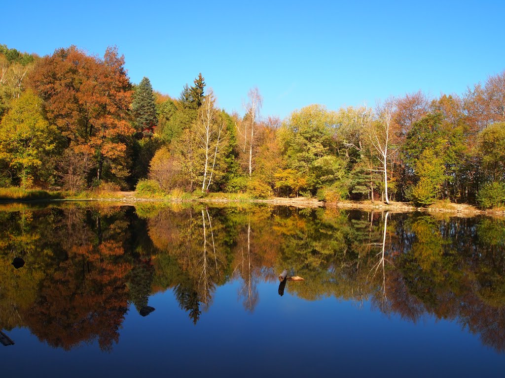 Боянско езеро, Boyana Lake by Laura