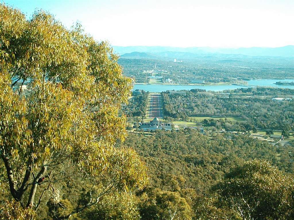 View from Mount Ainslie by AO2232