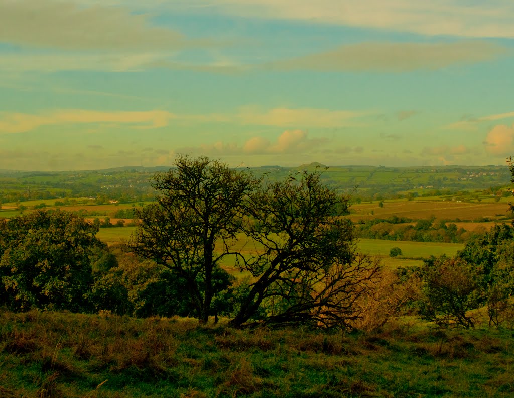 Harewood Morning by bobnmanda25