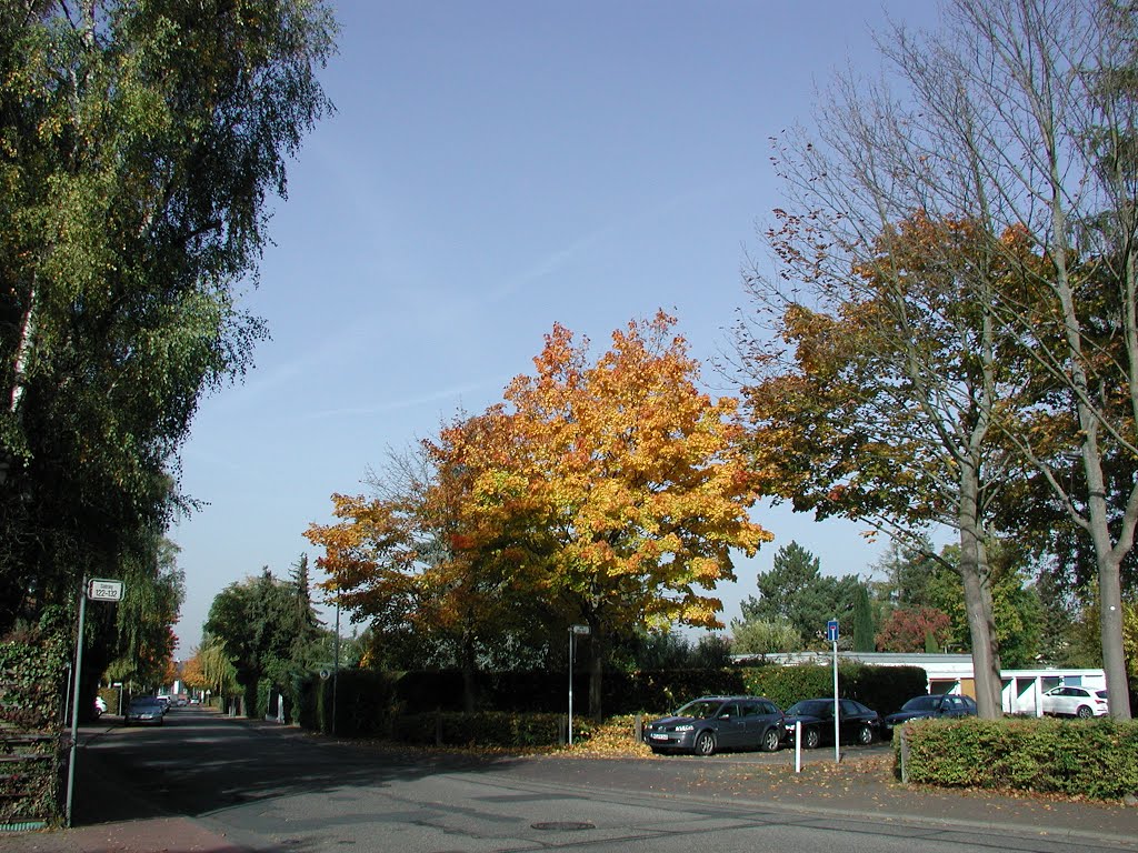 Südring im Herbst 6 by Michael Lehne