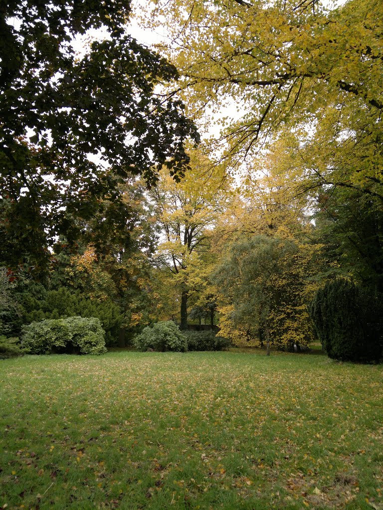 Autumn in Holland Stadspark De Oude Dijk, 20 October 2012 by Woestenborg