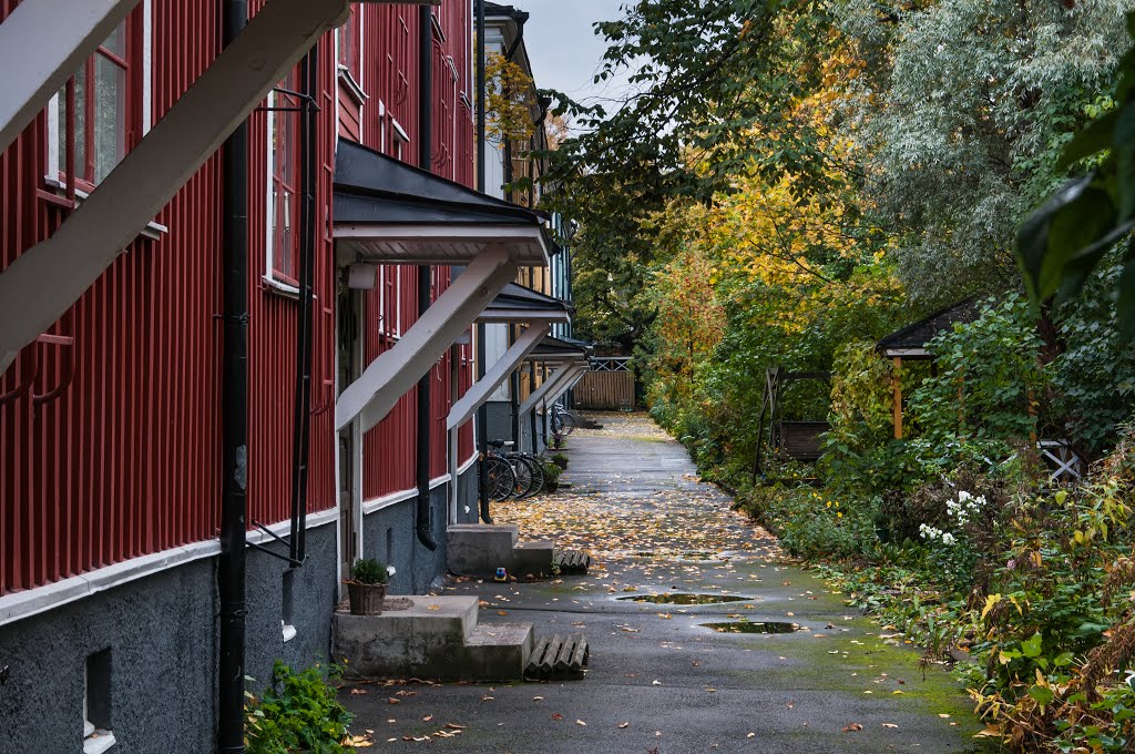 Puu-Vallila, Vanajantie 14 by Pekka Laitinen